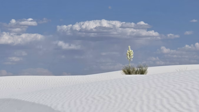 White Sands National Park